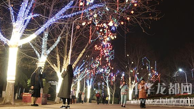 項城市民在燈光景觀樹下游玩