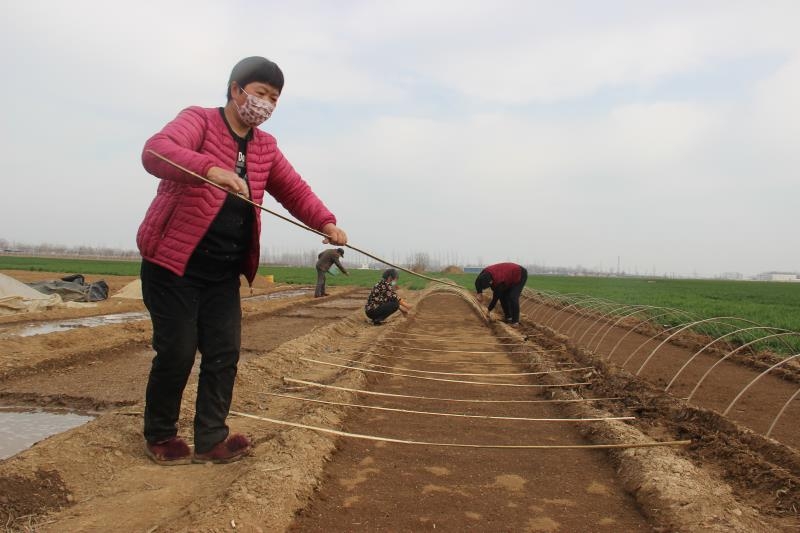 疫情防控、春耕生產(chǎn)兩手抓