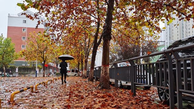 雨中周口，別有一番韻味