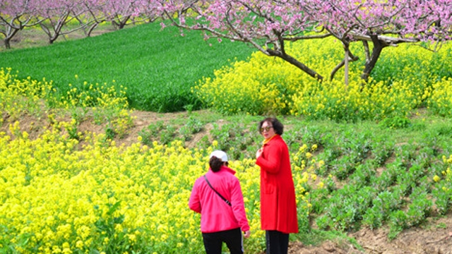 西華縣黃橋鄉(xiāng)農(nóng)旅興促旺鄉(xiāng)村經(jīng)濟