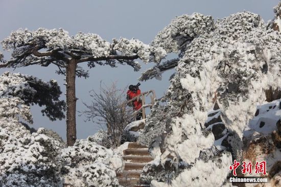 組圖：雪后黃山“醉”游人